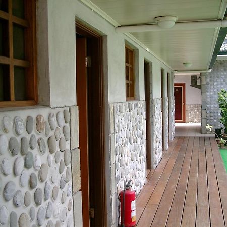 Junbuna Homestay Ruisui Extérieur photo